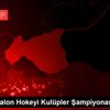 Avrupa Salon Hokeyi Kulüpler Şampiyonası Avrupa Salon Hokeyi Kulüpler Şampiyonası
