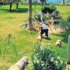 Antalya'da acı manzara