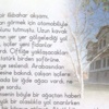 O iğde ağacı hepten gitti O iğde ağacı hepten gitti