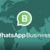 WhatsApp Business iPhone'lar için de yayınlanacak