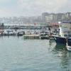 Marmara Denizi'nde 'kaykay' alarmı