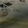 Beylikdüzü’nde lüks sitede yılan paniği Beylikdüzü’nde lüks sitede yılan paniği