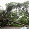 Meteorolojiden kuvvetli rüzgâr uyarısı