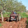 Halfetili çiftçilerin ekim telaşı başladı Halfetili çiftçilerin ekim telaşı başladı