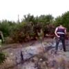 Ağaç dalında uyuşturucu ele geçirildi Ağaç dalında uyuşturucu ele geçirildi