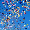 Üniversitede balon şişirene soruşturma! Üniversitede balon şişirene soruşturma!