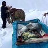 Kalp hastası, atlı kızakla ambulansa taşındı