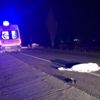 Karayoluna çıktı canından oldu Karayoluna çıktı canından oldu