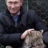 Putin’in leoparı yakalandı