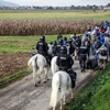 Sığınmacıların Slovenya yolculuğu devam ediyor Sığınmacıların Slovenya yolculuğu devam ediyor