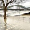 Almanyda'da Ren Nehri taştı Almanyda'da Ren Nehri taştı