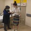 Video: Çığ tünelleri faciayı engelledi. Sümbül Dağı'nın zirvesinden kopup geldi Video: Çığ tünelleri faciayı engelledi. Sümbül Dağı'nın zirvesinden kopup geldi