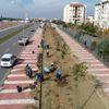 Susuzluğa dayanıklı bitkiler Manisa yı renklendirecek Susuzluğa dayanıklı bitkiler Manisa yı renklendirecek