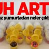 Sürpriz yumurtadan çıkanlar şoke etti