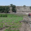 Yedikule bostanı planları Meclis'ten de geri döndü Yedikule bostanı planları Meclis'ten de geri döndü