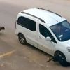 Köpekleri bilerek ezen sürücü gözaltına alındı