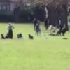 İngilizler, koronaya rağmen parklara akın etti İngilizler, koronaya rağmen parklara akın etti