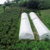 Karadeniz insanını zorluklar hiç yıldırmıyor Karadeniz insanını zorluklar hiç yıldırmıyor