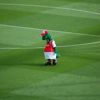 Arsenal maskotu kovdu!