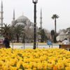 İstanbul'da Lale Zamanı