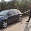Zeytin hasadında ağaca asılı ceset buldu Zeytin hasadında ağaca asılı ceset buldu