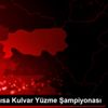 Avrupa Kısa Kulvar Yüzme Şampiyonası Avrupa Kısa Kulvar Yüzme Şampiyonası