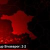 Demir Grup Sivasspor: 2-2