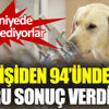 ﻿Korona virüsü koklayarak buluyorlar