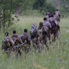 Hakkari'de bir terörist teslim oldu Hakkari'de bir terörist teslim oldu