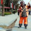 Kadın temizlik işçisi: Halimden memnunum Kadın temizlik işçisi: Halimden memnunum