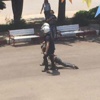 Akdeniz Üniversitesi'nde Soma arbedesi Akdeniz Üniversitesi'nde Soma arbedesi