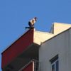 Dokuzuncu kattan atlayarak intihar etti Dokuzuncu kattan atlayarak intihar etti