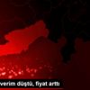 Limonda verim düştü, fiyat arttı Limonda verim düştü, fiyat arttı
