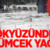 Gökten milyonlarca örümcek yağdı Gökten milyonlarca örümcek yağdı