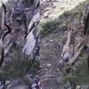 Yılan balığı, balıkçı da yılanı avladı