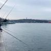 Beykoz da balıkçılar sahillere akın etti Beykoz da balıkçılar sahillere akın etti