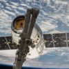 Koronavirüs SpaceX'in rakibini iflasa götürdü Koronavirüs SpaceX'in rakibini iflasa götürdü