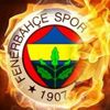 Fenerbahçe'de Tolga Ciğerci sürprizi Fenerbahçe'de Tolga Ciğerci sürprizi