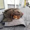 Sokakta uyuyan köpeğe esnaf eli Sokakta uyuyan köpeğe esnaf eli