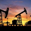 OPEC'in petrol üretimi arttı OPEC'in petrol üretimi arttı