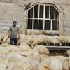 Hobi olarak başladığı besicilikteki başarısı örnek oldu Hobi olarak başladığı besicilikteki başarısı örnek oldu