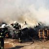 Palet fabrikasında korkutan yangın