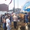 Pazarda kurbanın yüzde 95'i bitti