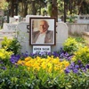 Sazak anıldı Sazak anıldı