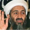 Bin Ladin açık artırmada Bin Ladin açık artırmada
