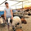 Bayraklı da Kurban Bayramı hazırlıkları tamam Bayraklı da Kurban Bayramı hazırlıkları tamam
