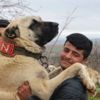 'Guregh' köpekleri, otomobil fiyatına satılıyor 'Guregh' köpekleri, otomobil fiyatına satılıyor