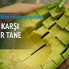 Kan kanserine karşı günde 1 avokado