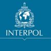Terör örgütlerine Interpol kalkanı Terör örgütlerine Interpol kalkanı