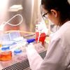 Kendi kendine oluşabilen DNA zincirleri geliştirildi Kendi kendine oluşabilen DNA zincirleri geliştirildi